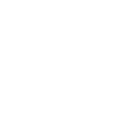 Recruitment & Job Placement