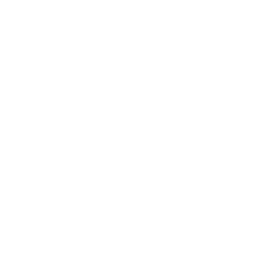 Work Visa Consulting